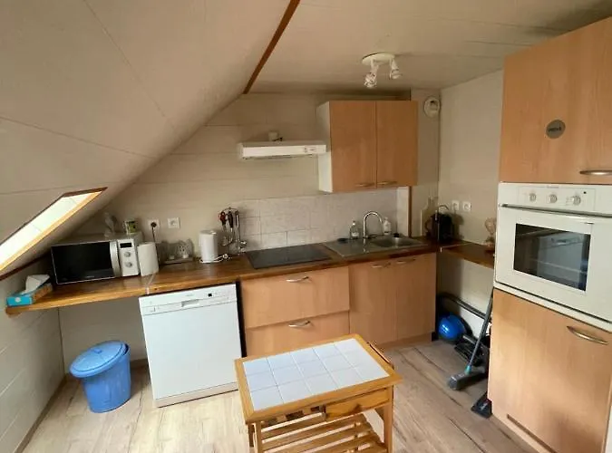 Апартаменты F4 6 Personnes Proche Centre Dore *